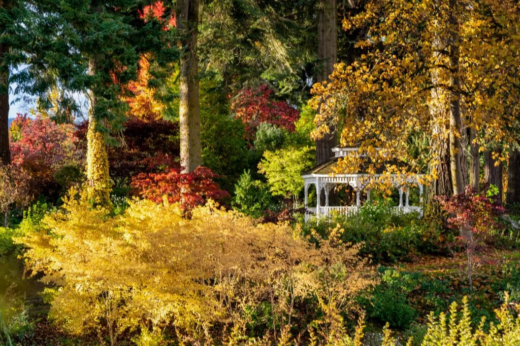 Oakwood Gardens Fall Color Garden Photography by Wasim Mukla — Pro Property Photos by Wasim